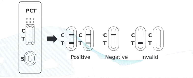 PCT-pdf__1_-removebg-preview
