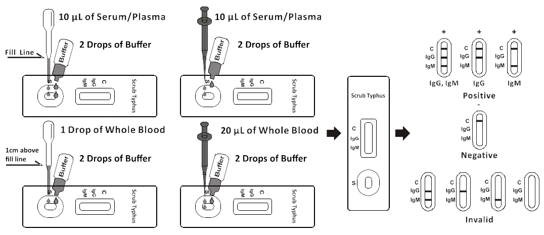 image (2)
