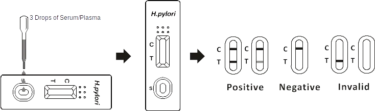 image (3)