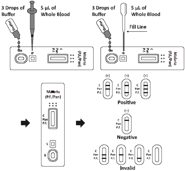 image (5)